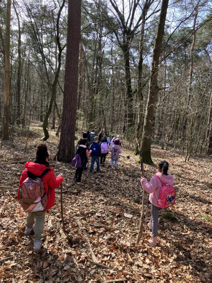 Kinder wandern im Wald